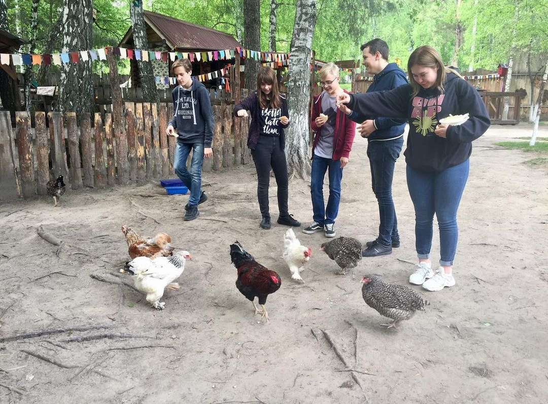 Отзыв родителя
